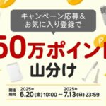 楽天ポイント50万ポイント山分けが当たる！楽天のキャンペーン