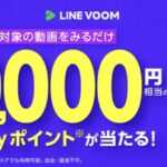 PayPayポイント最大5万円分が当たる！LINE VOOMのキャンペーン
