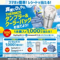 アサヒビール スタイルバランス 夏のひんやりキャンペーン
