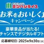 ミツハシライス 夏にもお米をおいしく食べようキャンペーン