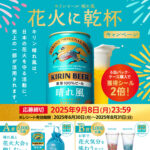 キリンビール 晴れ風 花火に乾杯キャンペーン