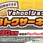 PayPayポイント最大1万円相当が当たる！Yahoo!ショッピングのキャンペーン