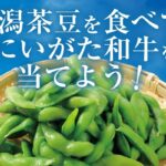 JA全農 新潟茶豆を食べて当てよう！キャンペーン