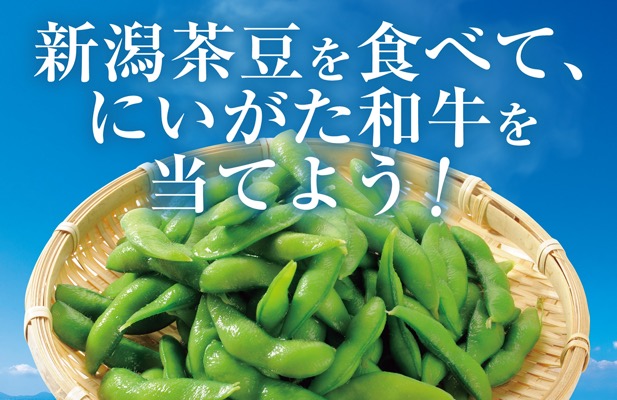 JA全農 新潟茶豆を食べて当てよう！キャンペーン