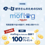 楽天 moflog 新規登録で100ポイントプレゼント
