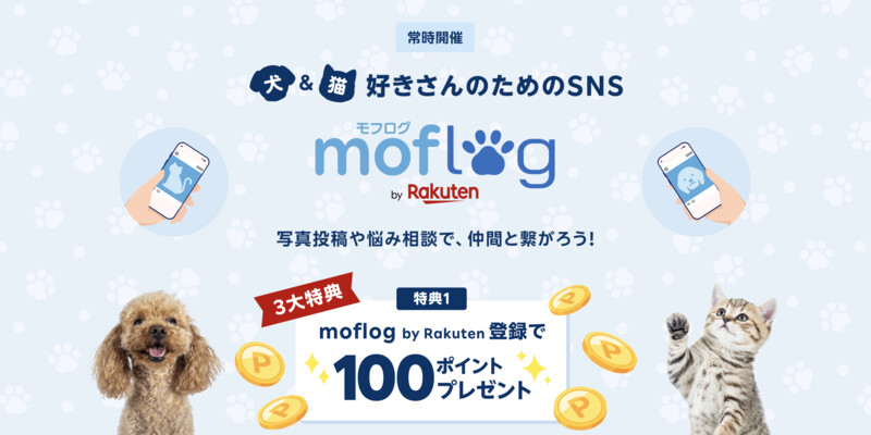楽天 moflog 新規登録で100ポイントプレゼント