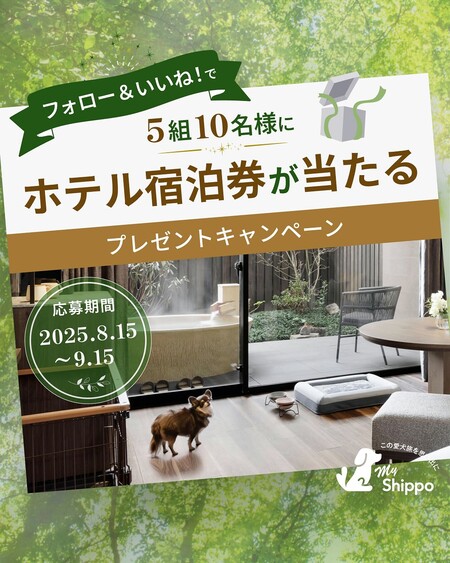 MyShippo(マイシッポ) フォロー＆いいね！でホテル宿泊券が当たる＜プレゼントキャンペーン
