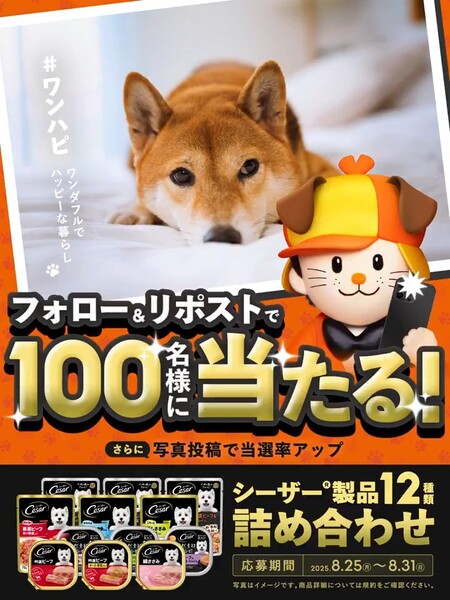 ホームズ LIFULL HOME'SXマースジャパンリミテッドコラボキャンペーン