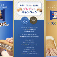 森永製菓 森永サンドアイス×鈴木愛理 プレゼントキャンペーン