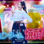 日本蒸留酒酒造組合 焼酎甲類1年分が当たる！キャンペーン