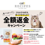 ジェックス Catit レシピーズ 食べなかったら全額返金キャンペーン