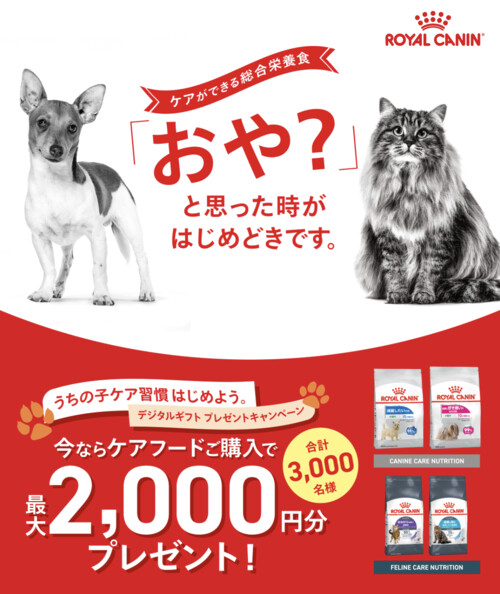 ロイヤルカナン うちの子ケア習慣、はじめよう。デジタルギフトプレゼントキャンペーン
