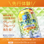 キリンビール キリン 氷ゼロ スパークリング　感想投稿キャンペーン