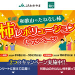 JAわかやま 柿レボリューションキャンペーン 和歌山のたねなし柿を買って応募！！