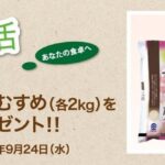 J Aしまね懸賞生活 島根県産新米「つや姫＆きぬむすめ」が当たる