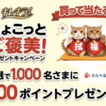 大王製紙｜エリエール キレキラ！ちょこっと拭くと福を呼ぶ　ちょこっとご褒美！プレゼントキャンペーン