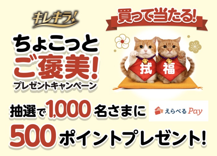 大王製紙｜エリエール キレキラ！ちょこっと拭くと福を呼ぶ　ちょこっとご褒美！プレゼントキャンペーン