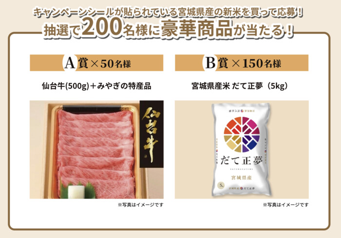 仙台牛(500g)＋みやぎの特産品、宮城県産米 だて正夢5kg