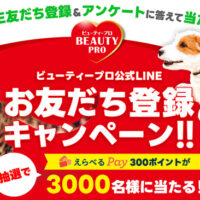 日本ペットフード ビューティープロ公式LINEお友だち登録キャンペーン