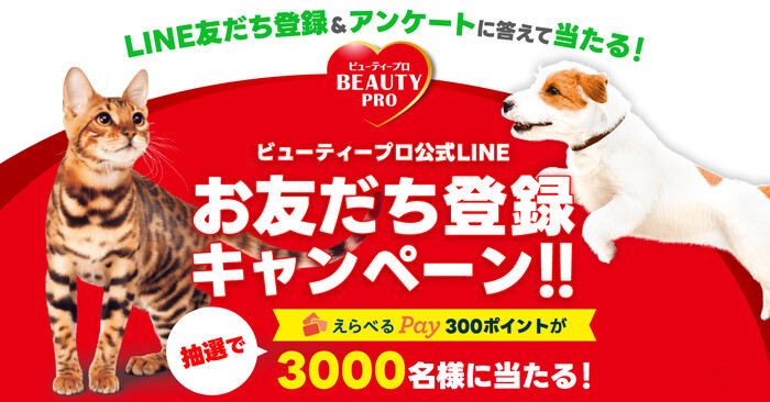 日本ペットフード ビューティープロ公式LINEお友だち登録キャンペーン