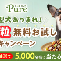 日本ペットフード コンボ ピュア ドッグ 超小粒無料お試しキャンペーン