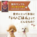 カインズ×いぬのきもち 【いぬのきもち　11月号】「ぜいたく素材ごはん」3種お試し用100g プレゼント