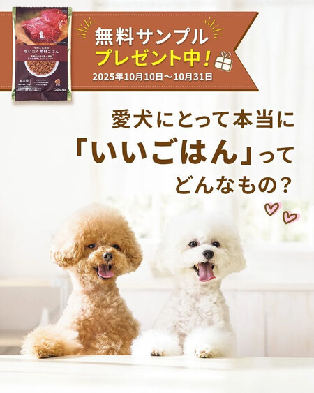 カインズ×いぬのきもち 【いぬのきもち　11月号】「ぜいたく素材ごはん」3種お試し用100g プレゼント