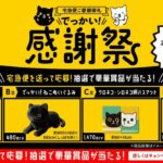 ヤマト運輸 宅急便ご愛顧御礼でっかい！感謝祭