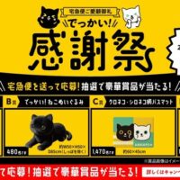 ヤマト運輸 宅急便ご愛顧御礼でっかい!感謝祭