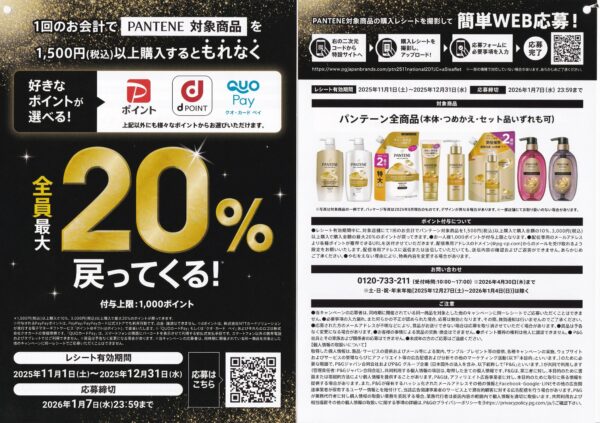 P&G PANTENE「好きなポイントが全員戻ってくる!」キャンペーン 懸賞チラシ