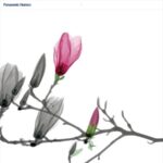 パナソニック ホームズ その場で当たる！毎日#プレゼントキャンペーン