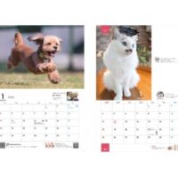 朝日マリオン・コム 飼い主から集めた犬、猫の写真 カレンダープレゼント