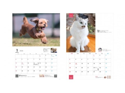 朝日マリオン・コム 飼い主から集めた犬、猫の写真 カレンダープレゼント