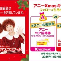 丸美屋食品 アニーXmasキャンペーン