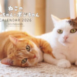 朝日マリオンコム SNSで人気 元保護猫２匹のカレンダープレゼント