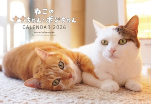 朝日マリオンコム SNSで人気 元保護猫２匹のカレンダープレゼント