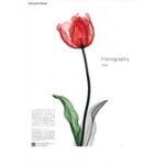 朝日マリオン・コム X線画像に彩色した透明感ある花 カレンダープレゼント