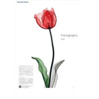 朝日マリオン・コム X線画像に彩色した透明感ある花 カレンダープレゼント