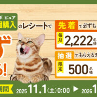 コンボ ピュア　ポイントGETキャンペーン