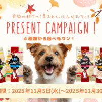 イースター 秋のプレゼントキャンペーン!