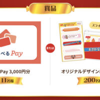 えらべるPay 3,000円分、絆創膏セットが当たる！ニッスイのプレゼントキャンペーン