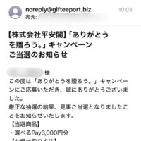 平安閣グループの懸賞でえらべるPay3,000円分が当選