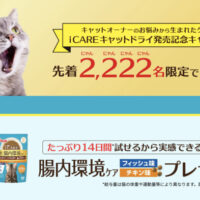 i CAREキャットドライ キャットフードの無料サンプルが当たるプレゼントキャンペーン