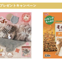 HOT HOME レンジでチンしてぽっかぽかネコ&猫用フードが当たる!スマックのプレゼントキャンペーン
