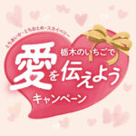 JA全農とちぎ 栃木のいちごで愛を伝えようキャンペーン