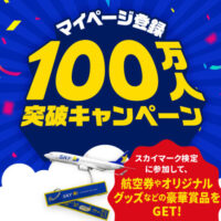 往復国内航空券、スカイマークモデルプレーンなどが当たる！スカイマークのプレゼントキャンペーン