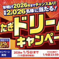 万代年またぎドリームキャンペーン