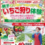 親子でいちご狩り体験が当たる!万代アプリのプレゼントキャンペーン