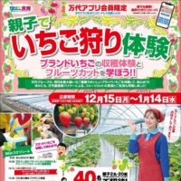 親子でいちご狩り体験が当たる！万代アプリのプレゼントキャンペーン