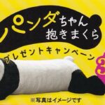 永谷園 「パンダちゃん抱きまくら」プレゼントキャンペーン